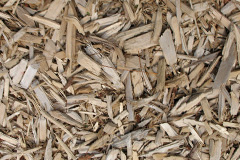 biomass boilers Trethurgy
